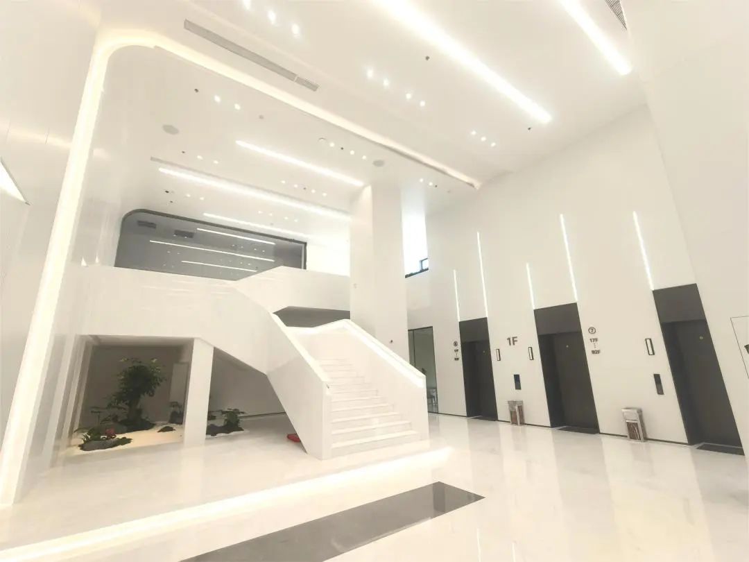 1755682642114769.jpg 5.jpg